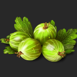 Крыжовник,тренировка