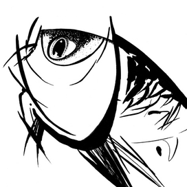 «Вонзевой» – июнь