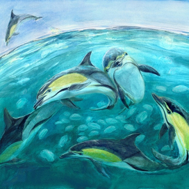 "Среди аурелий"