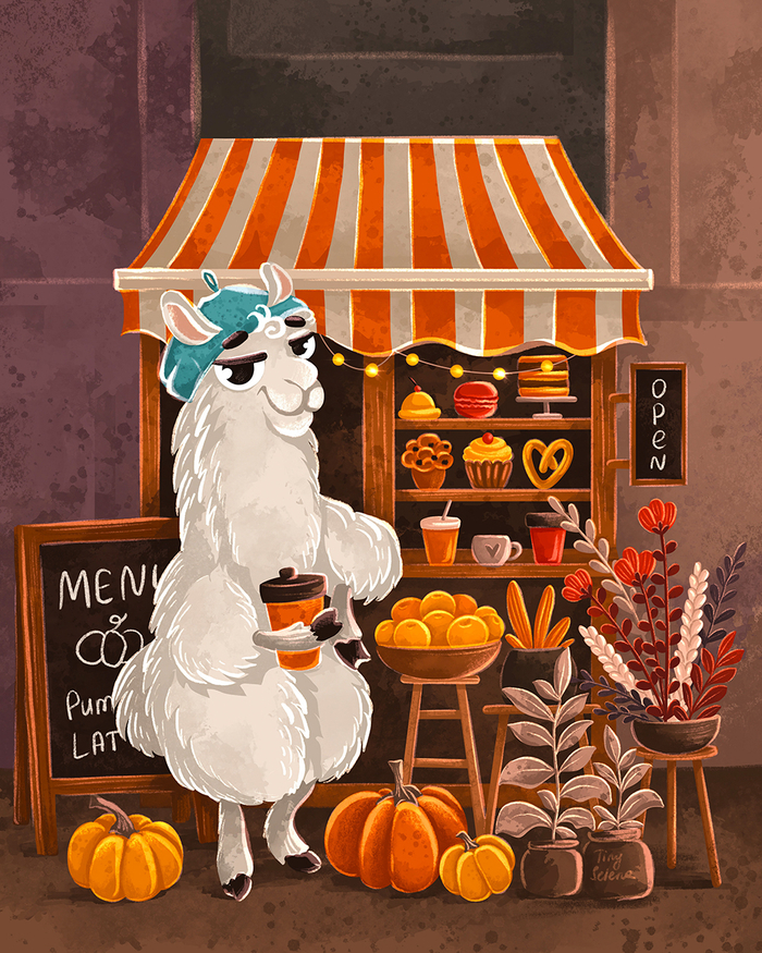 Альпака и уютное кафе