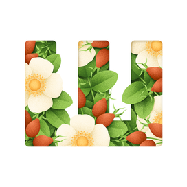 Кириллица  26/33