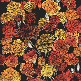 Tagetes