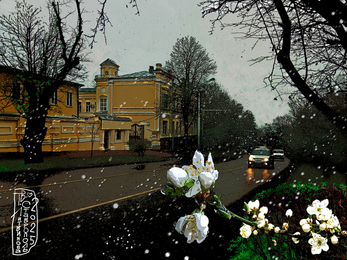 зеленый дым и снег