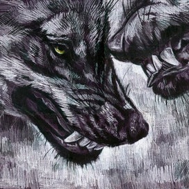 Волчий дождь