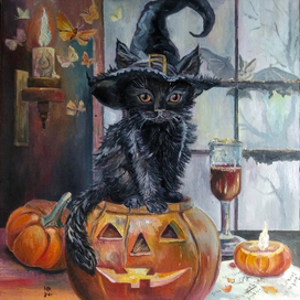 Кот, тыквы и волшебство