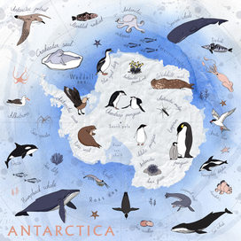 Карта Антарктиды