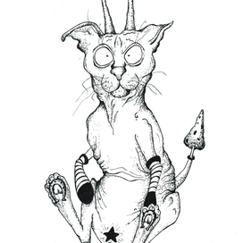 Кот