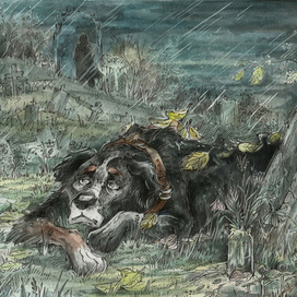 Собачья судьба