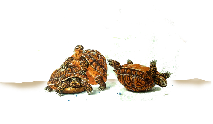 Ситуация №2