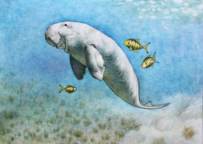 Дюгонь Матрёна Петровна