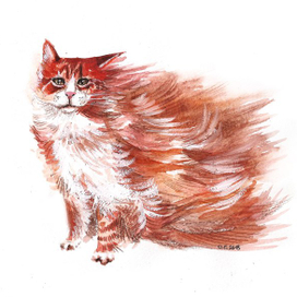 Очень сильный ветер