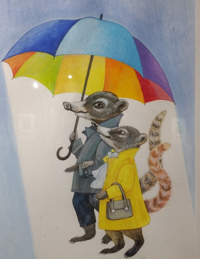 Носухи под дождём