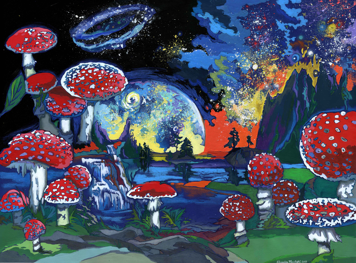 Планета мухоморов