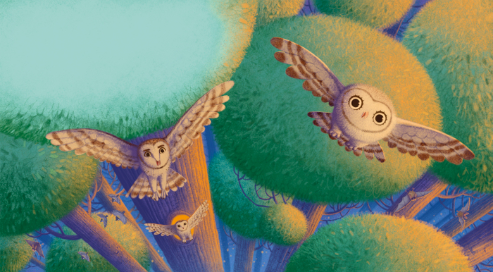 Первый полет