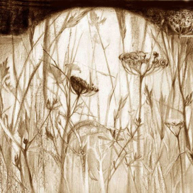 Иллюстрации к сборнику "Вянок" М.Багдановiча