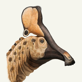 Olorotitan