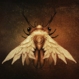 Angelbug