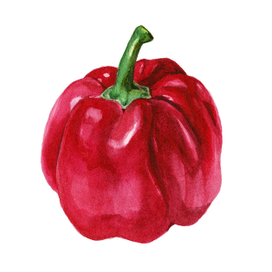 Красный перец