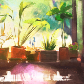 Солнечный подоконник