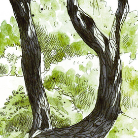 Набросок акварелью и тушью