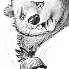 Страшный урон!