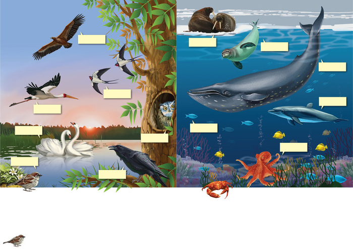 Мир который я люблю