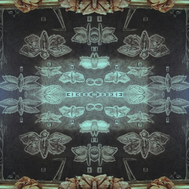 Цикада MMMCCCI