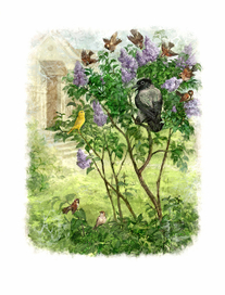 Ворона и Канарейка