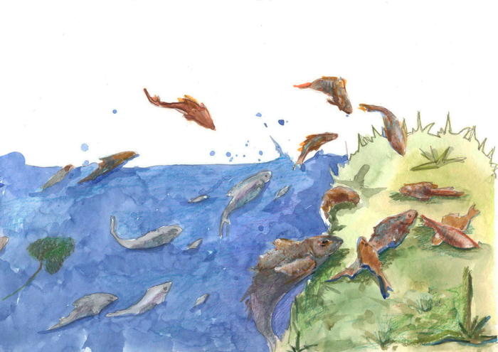 Голодные коты.