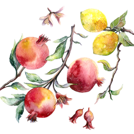 Гранат и лимон 