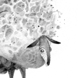 Овца. Без интриги