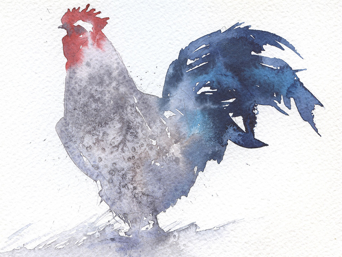 "Снежный петух"