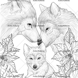 Раскраска "Волки и Пуансеттия"
