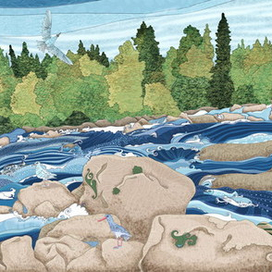 Водопад Паанаярви