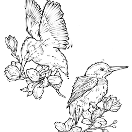 Bird tattoo sketch