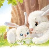 Нет! Это не вкусно!