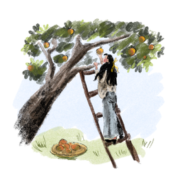 Книжная иллюстрация 