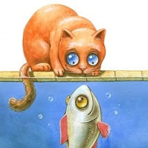 moveri (summer collection)