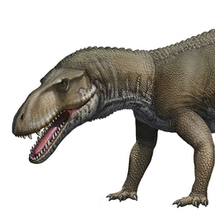 Персонажи Prestosuchus (динозавры)