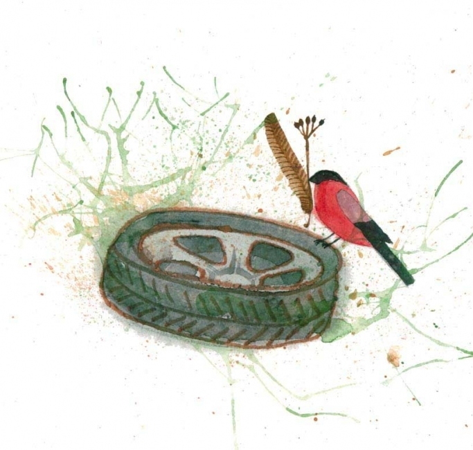 (без названия)