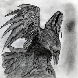 Raven
