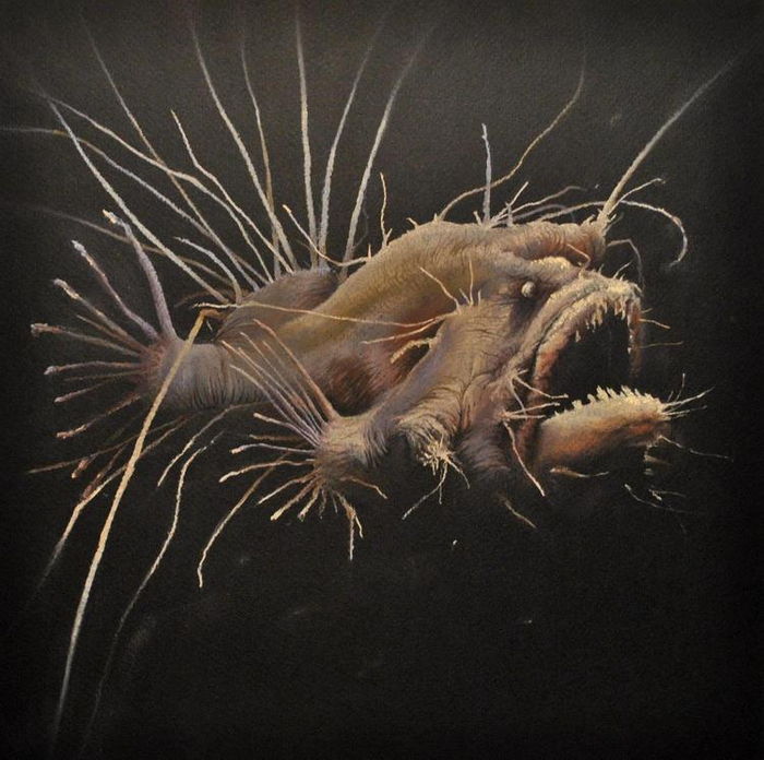 Глубоководное