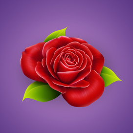 Роза - Подарок для Ок.ру