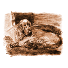 Russian hunting spaniel_2