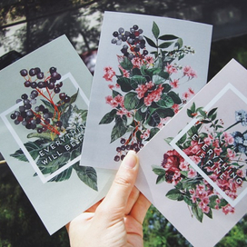 Открытки для Сибирского ботанического сада