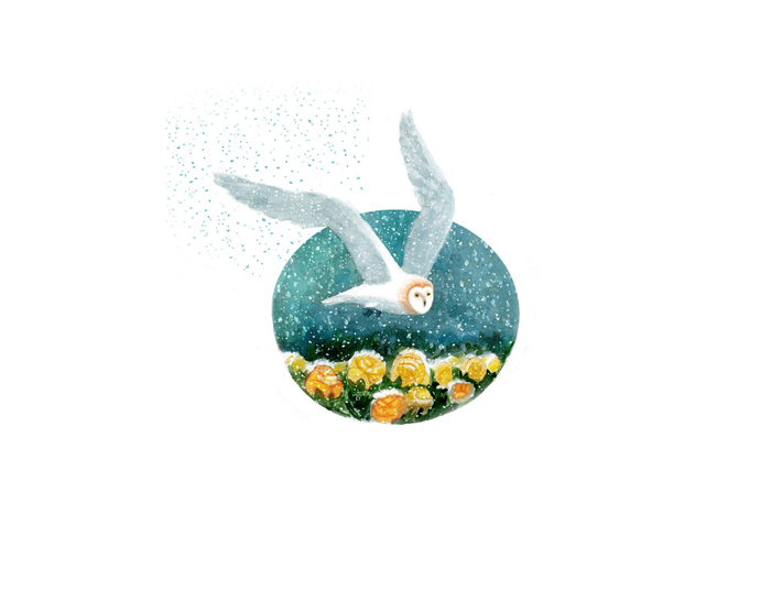 Иллюстрация к сказке Х. К. Андерсена "Снежная королева"