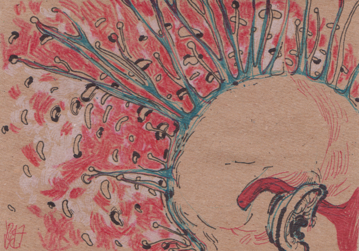 Распространение спорами