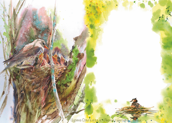 Месяц гнезд