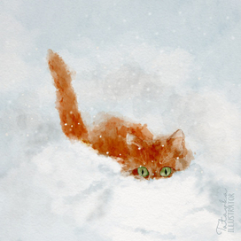 Пушистый февраль 