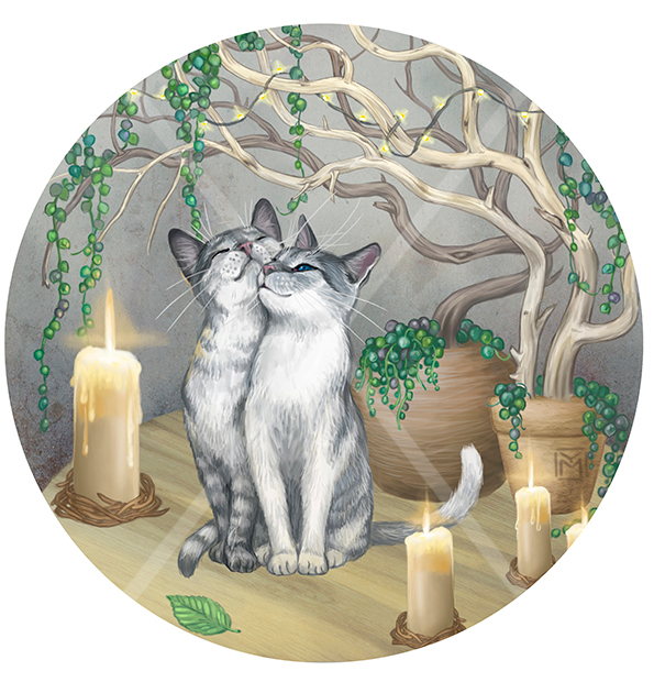 кое-что о котах...1